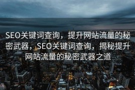 SEO关键词查询，提升网站流量的秘密武器，SEO关键词查询，揭秘提升网站流量的秘密武器之道