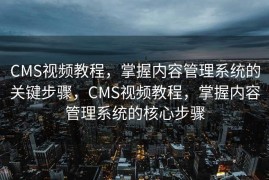 CMS视频教程，掌握内容管理系统的关键步骤，CMS视频教程，掌握内容管理系统的核心步骤