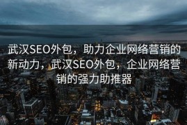武汉SEO外包，助力企业网络营销的新动力，武汉SEO外包，企业网络营销的强力助推器