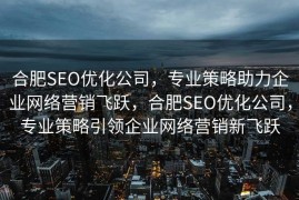 合肥SEO优化公司，专业策略助力企业网络营销飞跃，合肥SEO优化公司，专业策略引领企业网络营销新飞跃