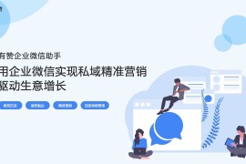有赞：用企业微信实现私域精准营销，驱动生意增长-2025最新seo资料