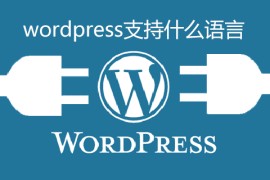 wordpress支持什么语言