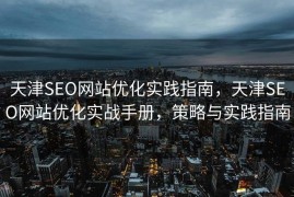 天津SEO网站优化实践指南，天津SEO网站优化实战手册，策略与实践指南