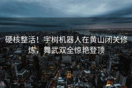 硬核整活！宇树机器人在黄山闭关修炼，舞武双全惊艳登顶