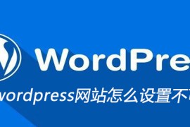 wordpress网站怎么设置不可被复制