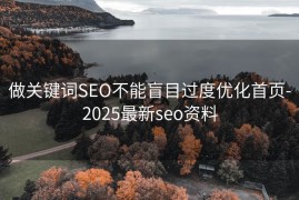 做关键词SEO不能盲目过度优化首页-2025最新seo资料