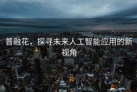 普融花，探寻未来人工智能应用的新视角