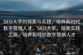 SEO大学的探索与实践，培养新时代数字营销人才，SEO大学，探索实践之路，培养新时代数字营销人才