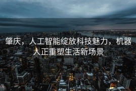肇庆，人工智能绽放科技魅力，机器人正重塑生活新场景