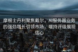 摩根士丹利聚焦戴尔，AI服务器业务的强劲增长引领市场，增持评级展现信心