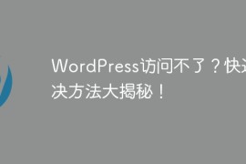 WordPress访问不了？快速解决方法大揭秘！
