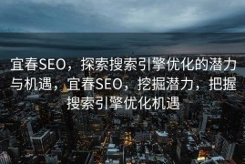 宜春SEO，探索搜索引擎优化的潜力与机遇，宜春SEO，挖掘潜力，把握搜索引擎优化机遇