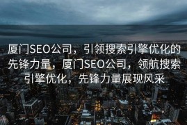 厦门SEO公司，引领搜索引擎优化的先锋力量，厦门SEO公司，领航搜索引擎优化，先锋力量展现风采