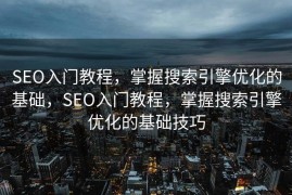 SEO入门教程，掌握搜索引擎优化的基础，SEO入门教程，掌握搜索引擎优化的基础技巧