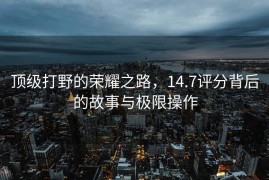 顶级打野的荣耀之路，14.7评分背后的故事与极限操作