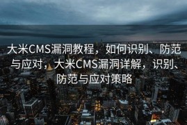 大米CMS漏洞教程，如何识别、防范与应对，大米CMS漏洞详解，识别、防范与应对策略