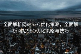 全面解析网站SEO优化策略，全面解析网站SEO优化策略与技巧