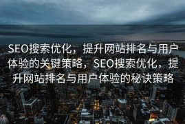 SEO搜索优化，提升网站排名与用户体验的关键策略，SEO搜索优化，提升网站排名与用户体验的秘诀策略