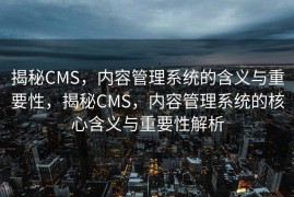 揭秘CMS，内容管理系统的含义与重要性，揭秘CMS，内容管理系统的核心含义与重要性解析