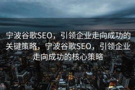 宁波谷歌SEO，引领企业走向成功的关键策略，宁波谷歌SEO，引领企业走向成功的核心策略