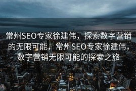 常州SEO专家徐建伟，探索数字营销的无限可能，常州SEO专家徐建伟，数字营销无限可能的探索之旅