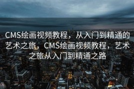 CMS绘画视频教程，从入门到精通的艺术之旅，CMS绘画视频教程，艺术之旅从入门到精通之路