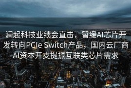 澜起科技业绩会直击，暂缓AI芯片开发转向PCIe Switch产品，国内云厂商AI资本开支提振互联类芯片需求