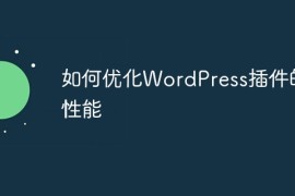 如何优化WordPress插件的性能