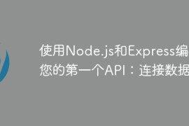 使用Node.js和Express编写您的第一个API：连接数据库
