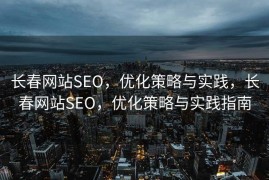 长春网站SEO，优化策略与实践，长春网站SEO，优化策略与实践指南