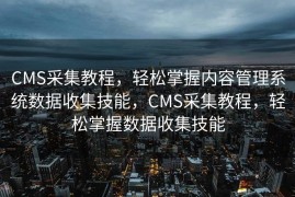 百度SEO公司，引领搜索引擎优化的先锋，百度SEO公司，领航搜索引擎优化，打造网络先锋