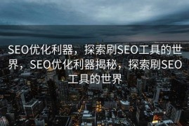 SEO优化利器，探索刷SEO工具的世界，SEO优化利器揭秘，探索刷SEO工具的世界