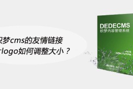 织梦cms的友情链接图片logo如何调整大小？