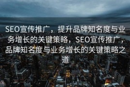 SEO宣传推广，提升品牌知名度与业务增长的关键策略，SEO宣传推广，品牌知名度与业务增长的关键策略之道