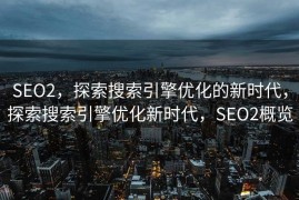SEO2，探索搜索引擎优化的新时代，探索搜索引擎优化新时代，SEO2概览
