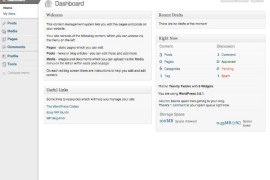 个性化 WordPress 管理体验 - 仪表板