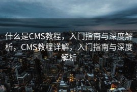 什么是CMS教程，入门指南与深度解析，CMS教程详解，入门指南与深度解析