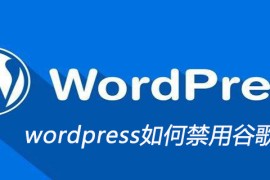 wordpress如何禁用谷歌地图