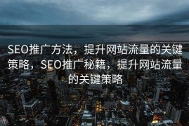 SEO推广方法，提升网站流量的关键策略，SEO推广秘籍，提升网站流量的关键策略