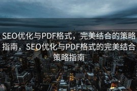 SEO优化与PDF格式，完美结合的策略指南，SEO优化与PDF格式的完美结合策略指南