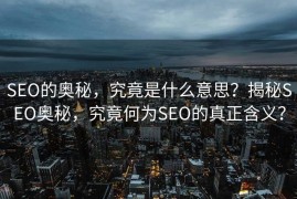 SEO的奥秘，究竟是什么意思？揭秘SEO奥秘，究竟何为SEO的真正含义？