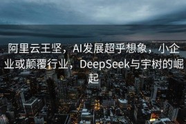 阿里云王坚，AI发展超乎想象，小企业或颠覆行业，DeepSeek与宇树的崛起