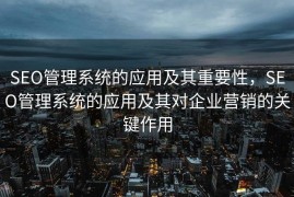 SEO管理系统的应用及其重要性，SEO管理系统的应用及其对企业营销的关键作用
