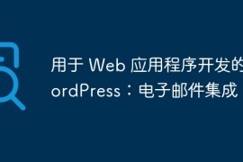 用于 Web 应用程序开发的 WordPress：电子邮件集成