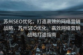 苏州SEO优化，打造高效的网络营销战略，苏州SEO优化，高效网络营销战略打造指南
