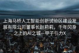 上海马桥人工智能创新试验区建设发展有限公司董事长赵莉莉，千年冈身之上的AI之城—甲子引力X