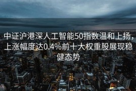 中证沪港深人工智能50指数温和上扬，上涨幅度达0.4%前十大权重股展现稳健态势