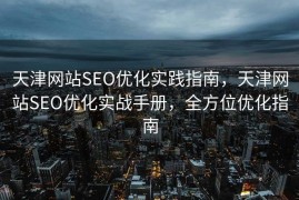 天津网站SEO优化实践指南，天津网站SEO优化实战手册，全方位优化指南