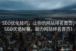 SEO优化技巧，让你的网站排名首页，SEO优化秘籍，助力网站排名首页！