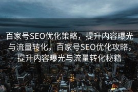 百家号SEO优化策略，提升内容曝光与流量转化，百家号SEO优化攻略，提升内容曝光与流量转化秘籍